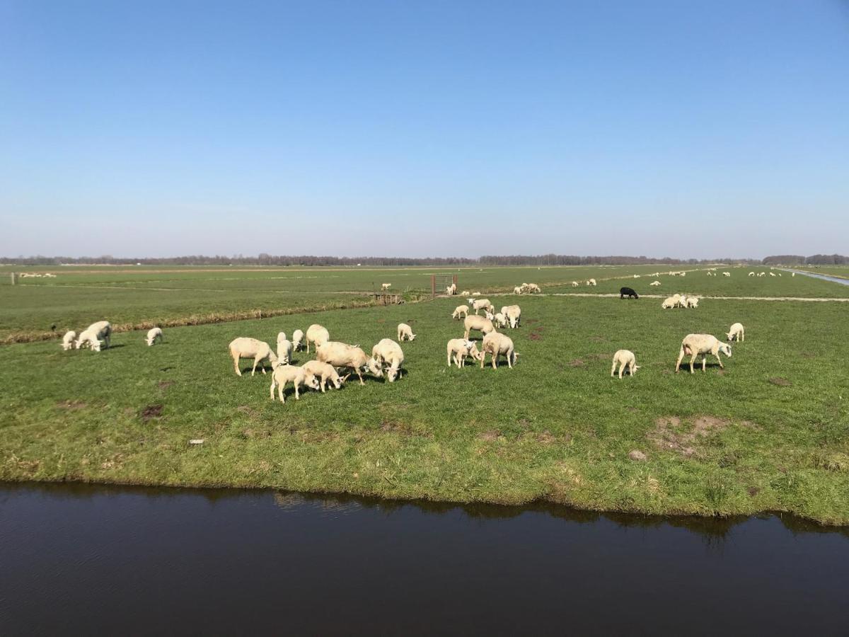 De Kopstoof Bed & Breakfast Lekkerkerk Luaran gambar